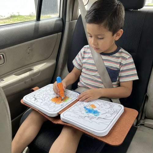 Niño con el libro en el carro